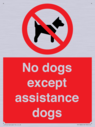 no-dogs-except-assistance-dogs~